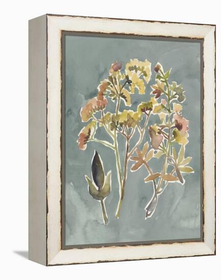 Collected Florals IV-Chariklia Zarris-Framed Stretched Canvas