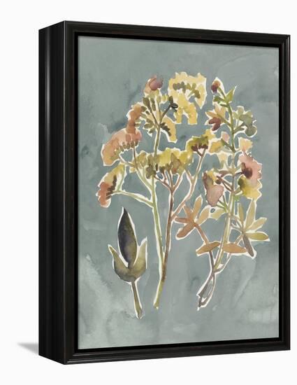 Collected Florals IV-Chariklia Zarris-Framed Stretched Canvas