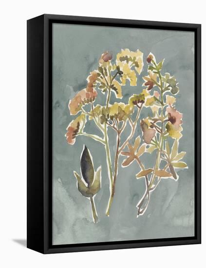 Collected Florals IV-Chariklia Zarris-Framed Stretched Canvas