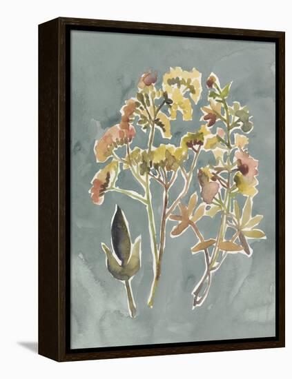 Collected Florals IV-Chariklia Zarris-Framed Stretched Canvas