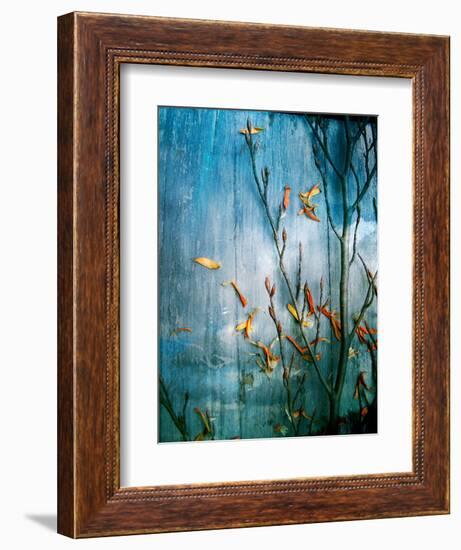 Collected Knot Layered with Petals on Blue Atmosparic Wooden Blue Sky Background-Alaya Gadeh-Framed Photographic Print