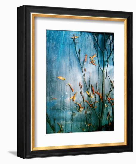 Collected Knot Layered with Petals on Blue Atmosparic Wooden Blue Sky Background-Alaya Gadeh-Framed Photographic Print