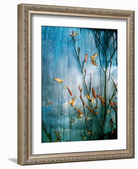 Collected Knot Layered with Petals on Blue Atmosparic Wooden Blue Sky Background-Alaya Gadeh-Framed Photographic Print