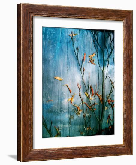 Collected Knot Layered with Petals on Blue Atmosparic Wooden Blue Sky Background-Alaya Gadeh-Framed Photographic Print