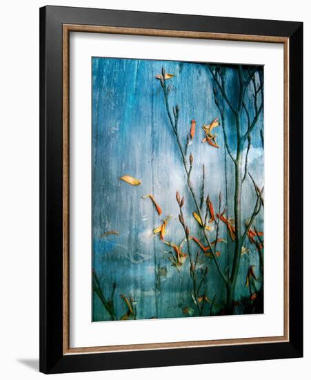 Collected Knot Layered with Petals on Blue Atmosparic Wooden Blue Sky Background-Alaya Gadeh-Framed Photographic Print