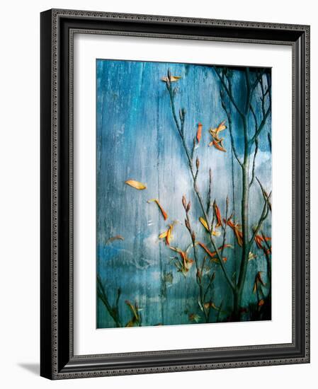 Collected Knot Layered with Petals on Blue Atmosparic Wooden Blue Sky Background-Alaya Gadeh-Framed Photographic Print