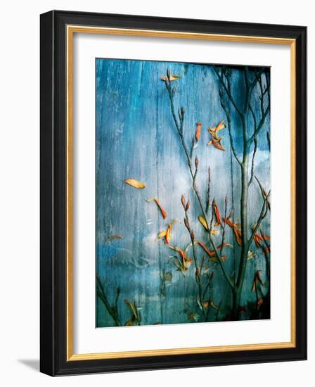Collected Knot Layered with Petals on Blue Atmosparic Wooden Blue Sky Background-Alaya Gadeh-Framed Photographic Print