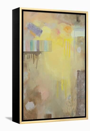 Collected Things I-Sandra Iafrate-Framed Stretched Canvas