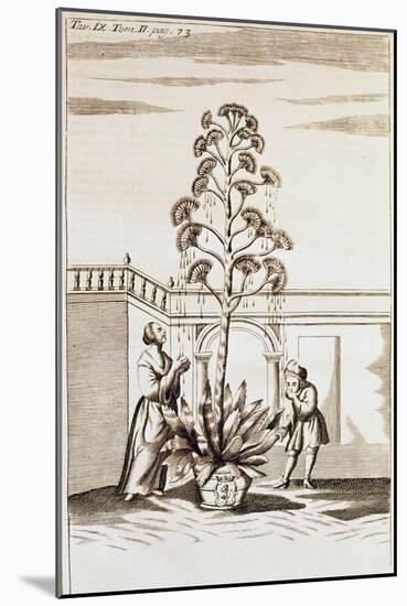 Collecting Aloe Juice from Spectacle De La Nature (Spectacle of Nature) by Noel-Antoine Pluche (168-null-Mounted Giclee Print