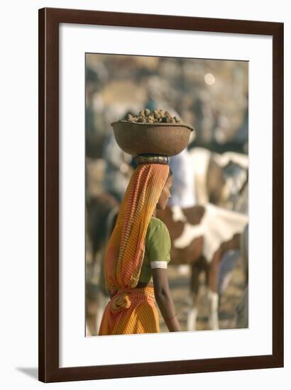 Collecting Camel Dung for Cooking Fires, Pushkar Camel Festival, Rajasthan, India-David Noyes-Framed Photographic Print