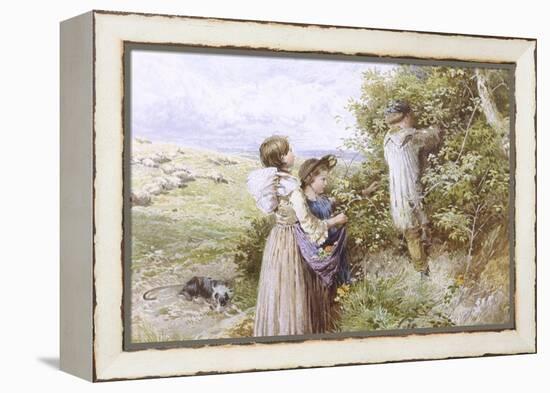 Collecting Flowers-Myles Birket Foster-Framed Premier Image Canvas