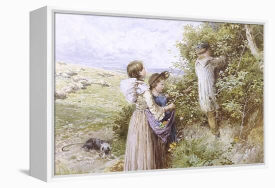 Collecting Flowers-Myles Birket Foster-Framed Premier Image Canvas