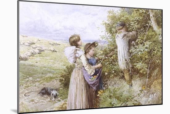 Collecting Flowers-Myles Birket Foster-Mounted Giclee Print