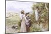 Collecting Flowers-Myles Birket Foster-Mounted Giclee Print