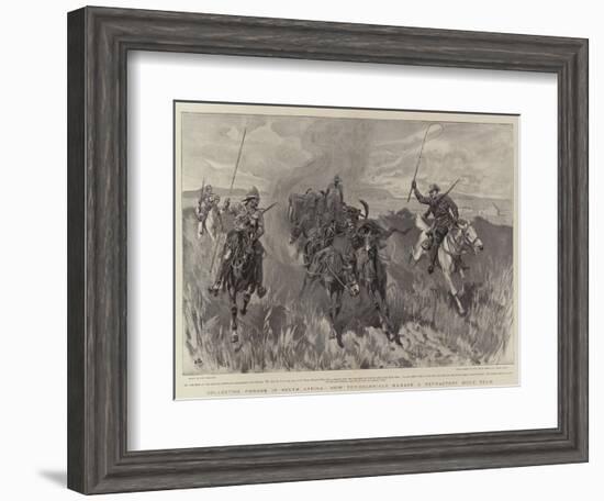 Collecting Forage in South Africa, How the Colonials Manage a Refractory Mule Team-John Charlton-Framed Giclee Print