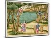 Giclee Print