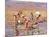 Collecting Shells-Paul Gribble-Mounted Giclee Print