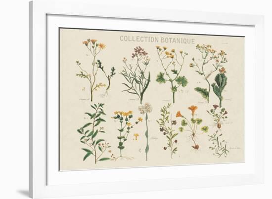 Collection Botanique-Maria Mendez-Framed Giclee Print