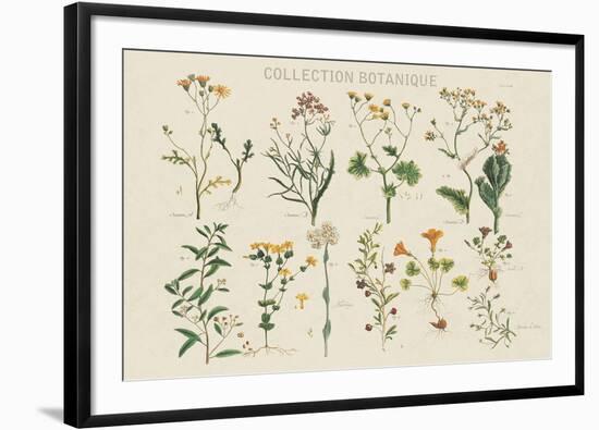 Collection Botanique-Maria Mendez-Framed Giclee Print