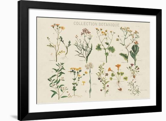 Collection Botanique-Maria Mendez-Framed Giclee Print