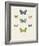 Collection de Papillons I-Maria Mendez-Framed Giclee Print