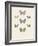 Collection de Papillons II-Maria Mendez-Framed Art Print