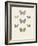 Collection de Papillons II-Maria Mendez-Framed Art Print