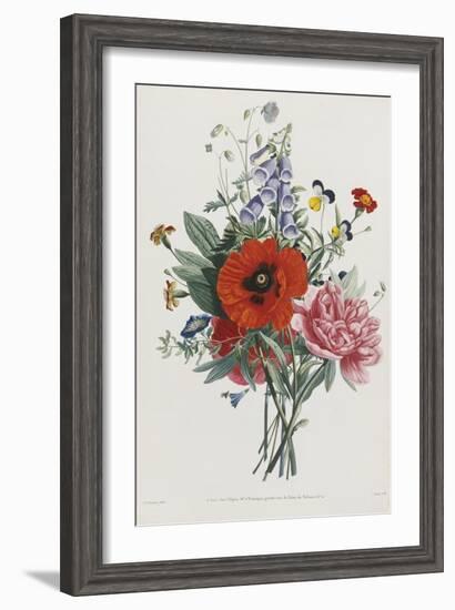 Collection Des Fleurs et Des Fruits, 1805-Jean Louis Prevost-Framed Giclee Print