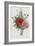 Collection Des Fleurs et Des Fruits, 1805-Jean Louis Prevost-Framed Giclee Print