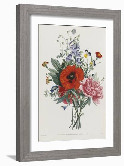 Collection Des Fleurs et Des Fruits, 1805-Jean Louis Prevost-Framed Giclee Print