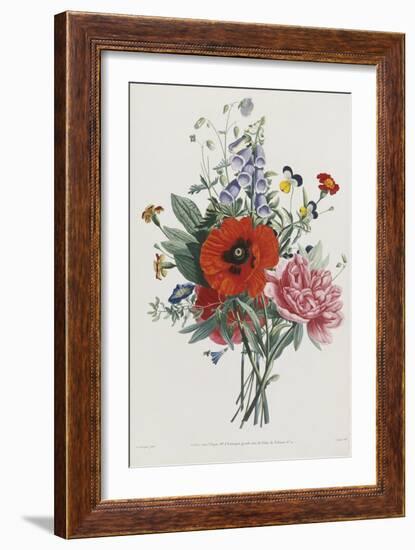 Collection Des Fleurs et Des Fruits, 1805-Jean Louis Prevost-Framed Giclee Print