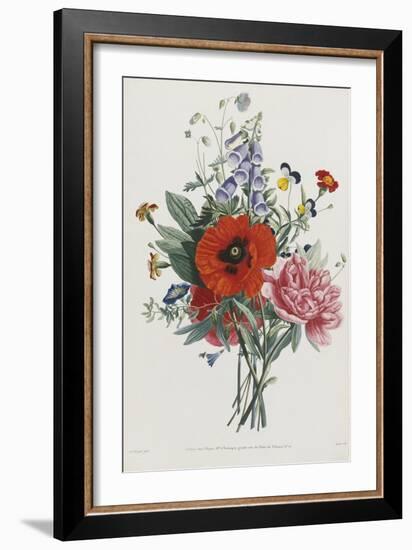 Collection Des Fleurs et Des Fruits, 1805-Jean Louis Prevost-Framed Giclee Print