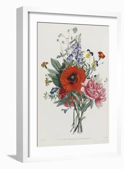 Collection Des Fleurs et Des Fruits, 1805-Jean Louis Prevost-Framed Giclee Print