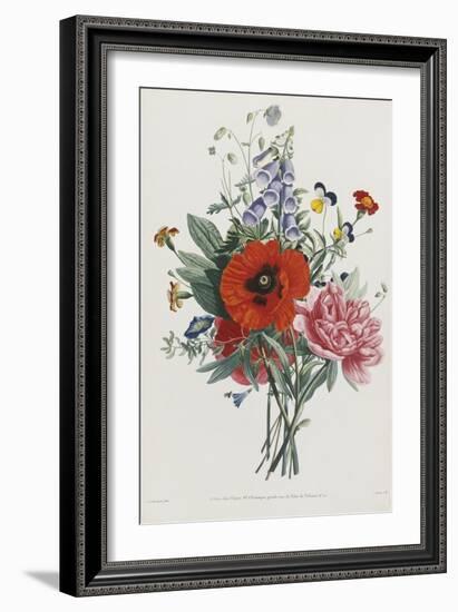 Collection Des Fleurs et Des Fruits, 1805-Jean Louis Prevost-Framed Giclee Print