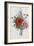 Collection Des Fleurs et Des Fruits, 1805-Jean Louis Prevost-Framed Giclee Print