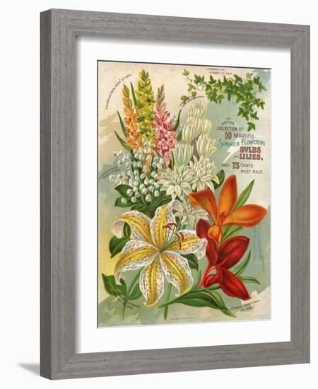 Collection of 10 Beautiful Summer Flowering Bulbs and Lillies-null-Framed Art Print