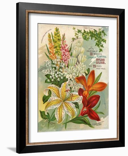 Collection of 10 Beautiful Summer Flowering Bulbs and Lillies-null-Framed Art Print