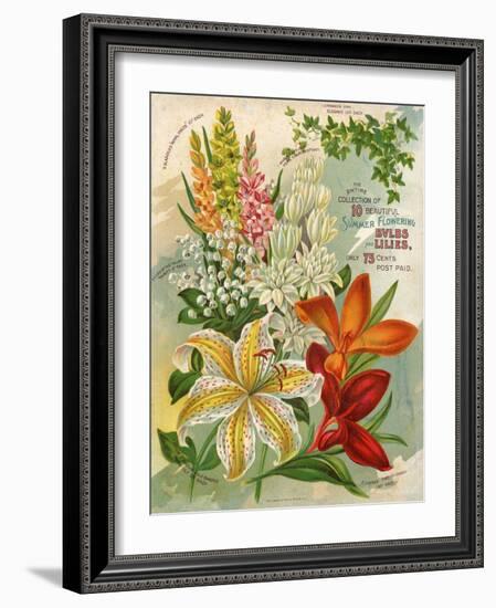 Collection of 10 Beautiful Summer Flowering Bulbs and Lillies-null-Framed Art Print