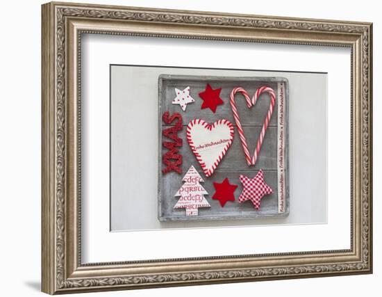 Collection of Christmas Decoration in the Foresten Frame-Andrea Haase-Framed Photographic Print