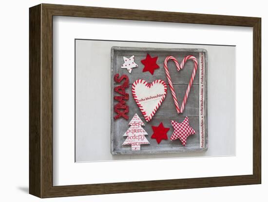 Collection of Christmas Decoration in the Foresten Frame-Andrea Haase-Framed Photographic Print