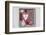 Collection of Christmas Decoration in the Foresten Frame-Andrea Haase-Framed Photographic Print