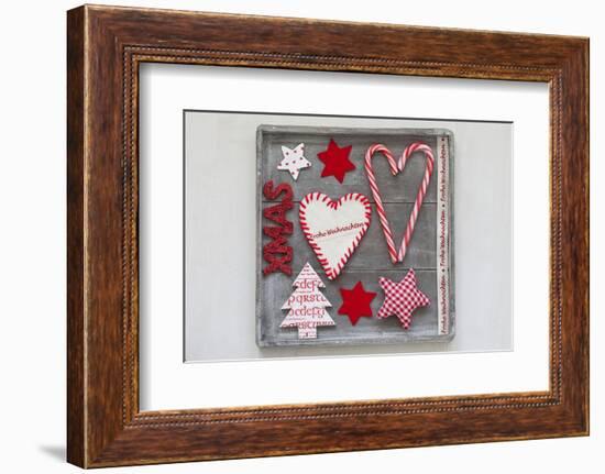 Collection of Christmas Decoration in the Foresten Frame-Andrea Haase-Framed Photographic Print