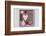 Collection of Christmas Decoration in the Foresten Frame-Andrea Haase-Framed Photographic Print