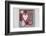 Collection of Christmas Decoration in the Foresten Frame-Andrea Haase-Framed Photographic Print