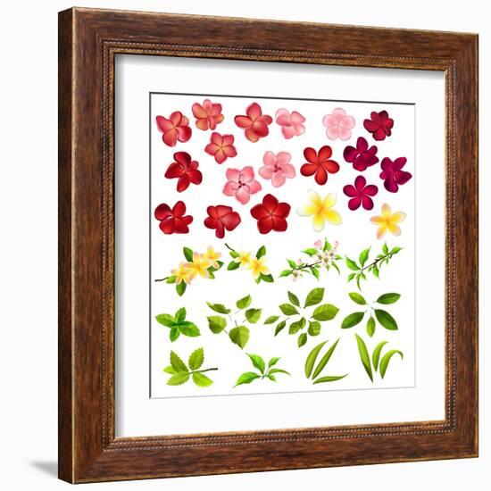 Collection of Different Flowers and Leaves on White-annanurrka-Framed Art Print