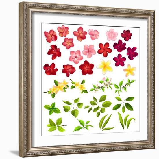 Collection of Different Flowers and Leaves on White-annanurrka-Framed Art Print