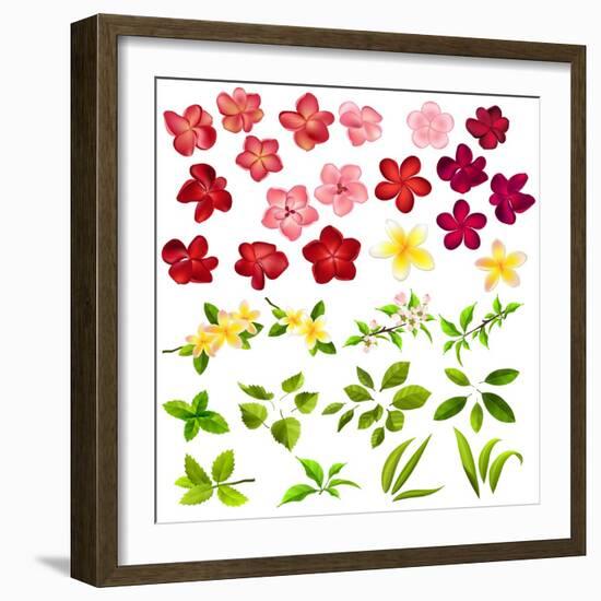 Collection of Different Flowers and Leaves on White-annanurrka-Framed Art Print