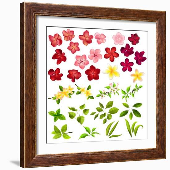 Collection of Different Flowers and Leaves on White-annanurrka-Framed Art Print