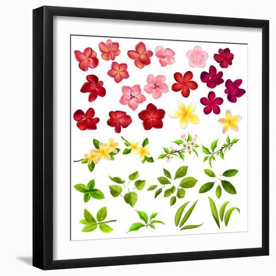 Collection of Different Flowers and Leaves on White-annanurrka-Framed Art Print