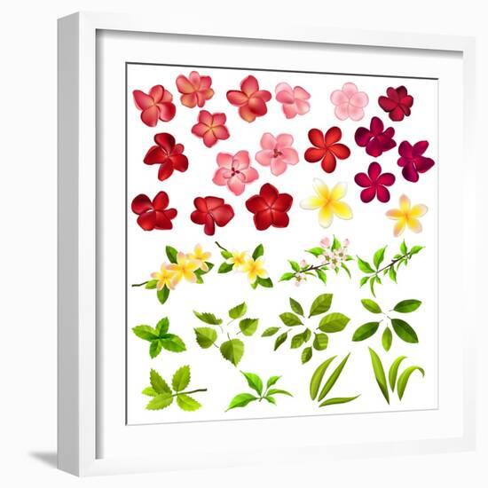 Collection of Different Flowers and Leaves on White-annanurrka-Framed Art Print